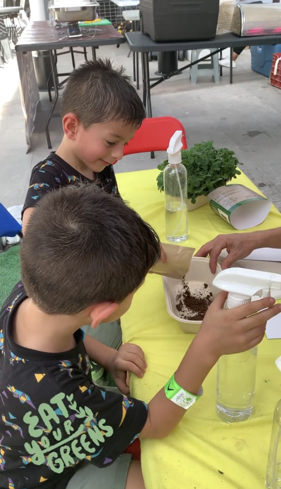 Taller de microgreens para niños